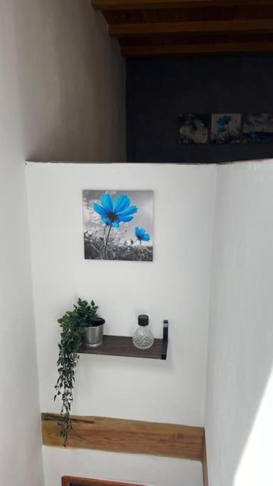 Ca La Trini Vivienda Vacacional Nava Εξωτερικό φωτογραφία